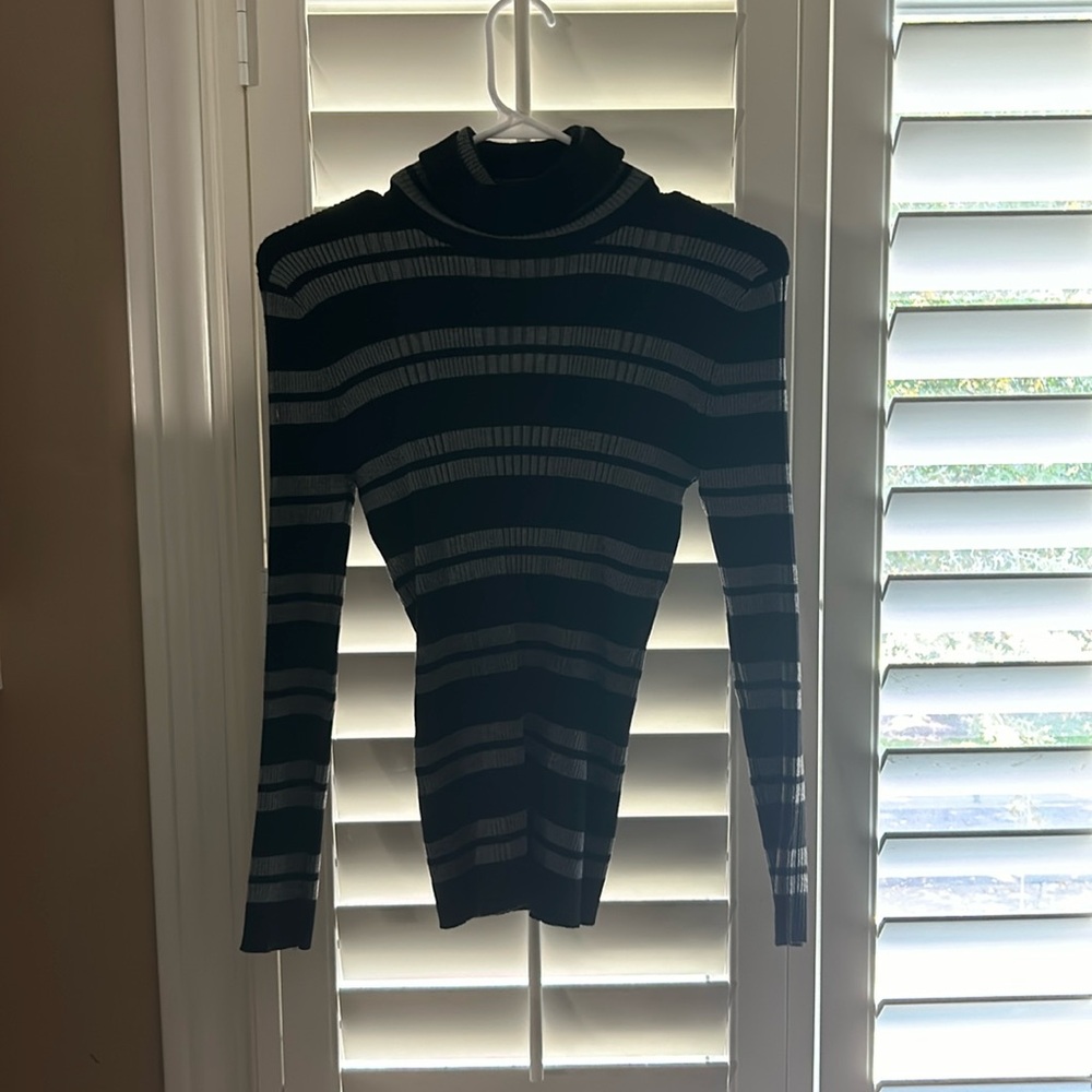 Turtleneck striped sweater